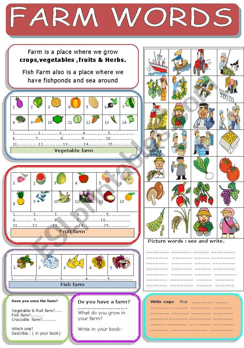 Farm vocabulary worksheet