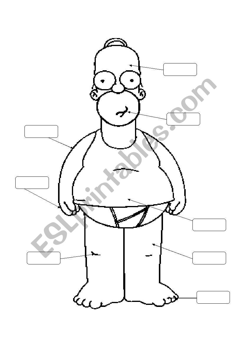 homer simpson body guide worksheet