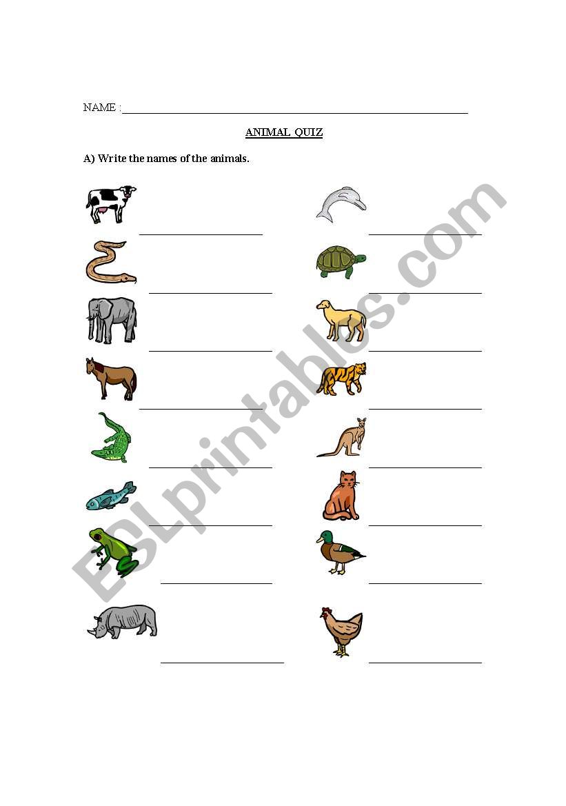 Animal quiz with charades worksheet