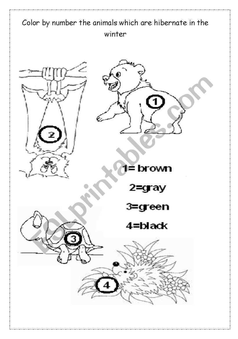 hibernation - animals worksheet