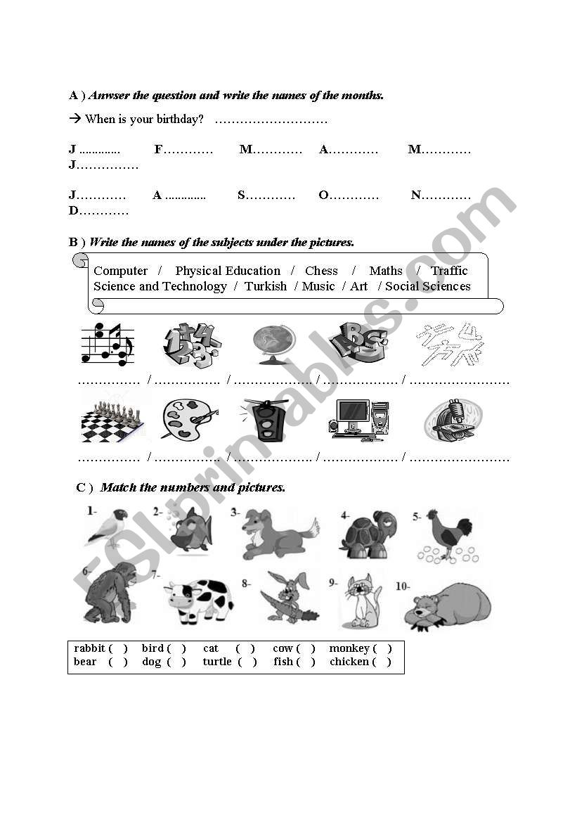 mini quiz worksheet