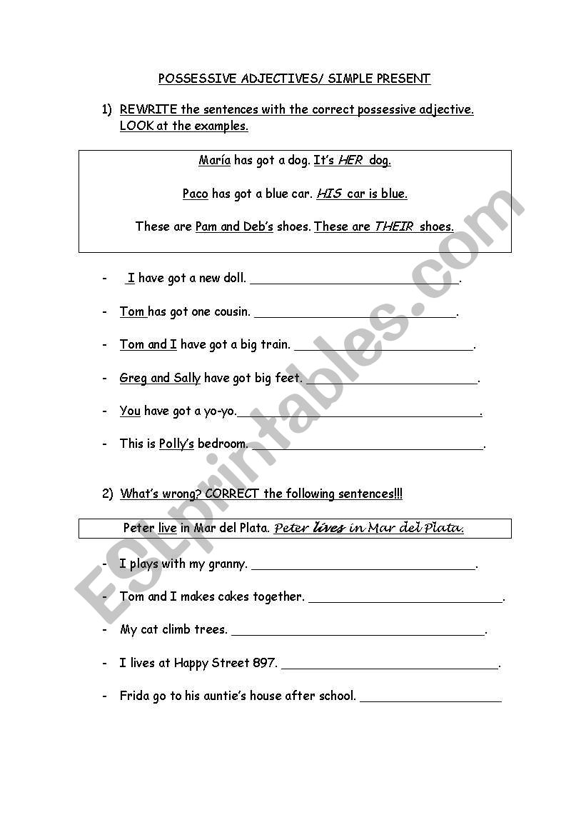 Possessive Adjectives / Simple Present