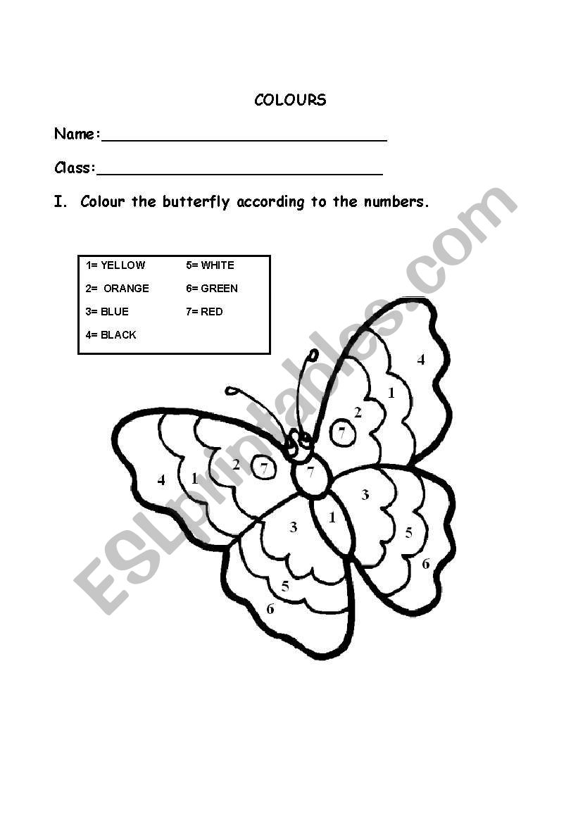 THE BUTTERFLY worksheet