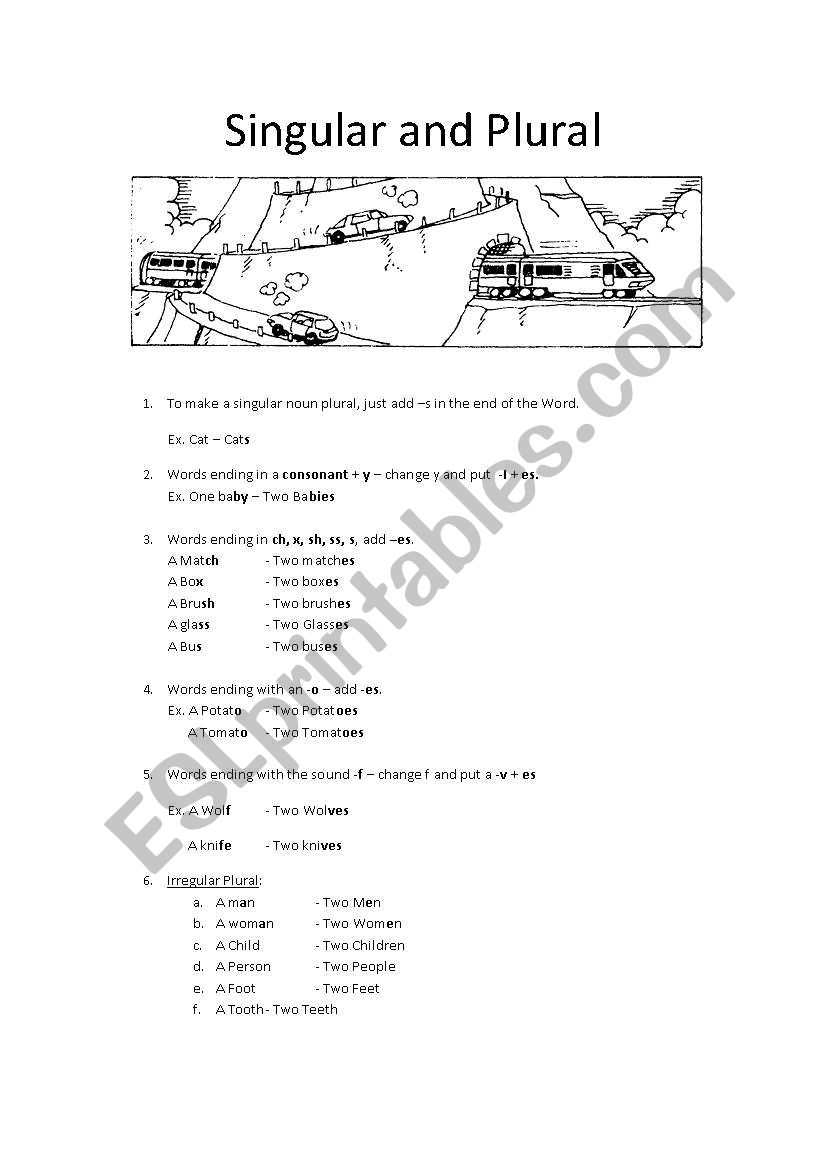 Singular and plural worksheet