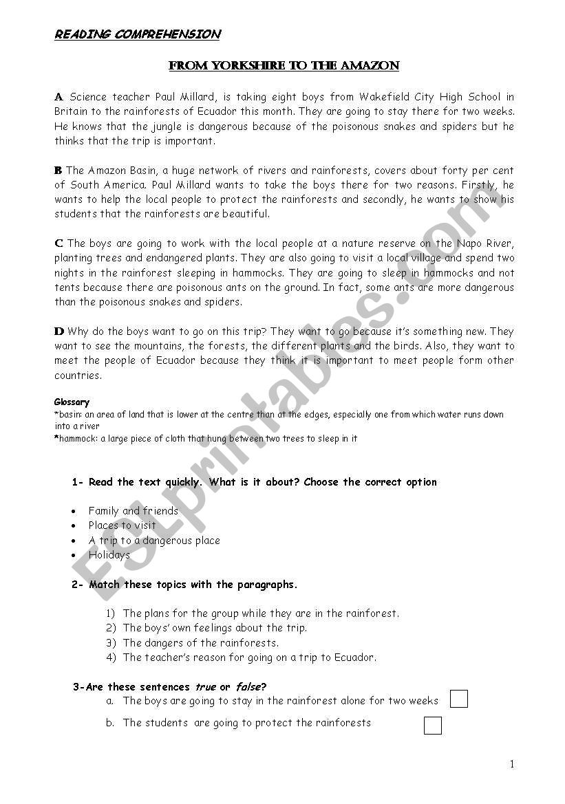 Reading Comprehension  worksheet