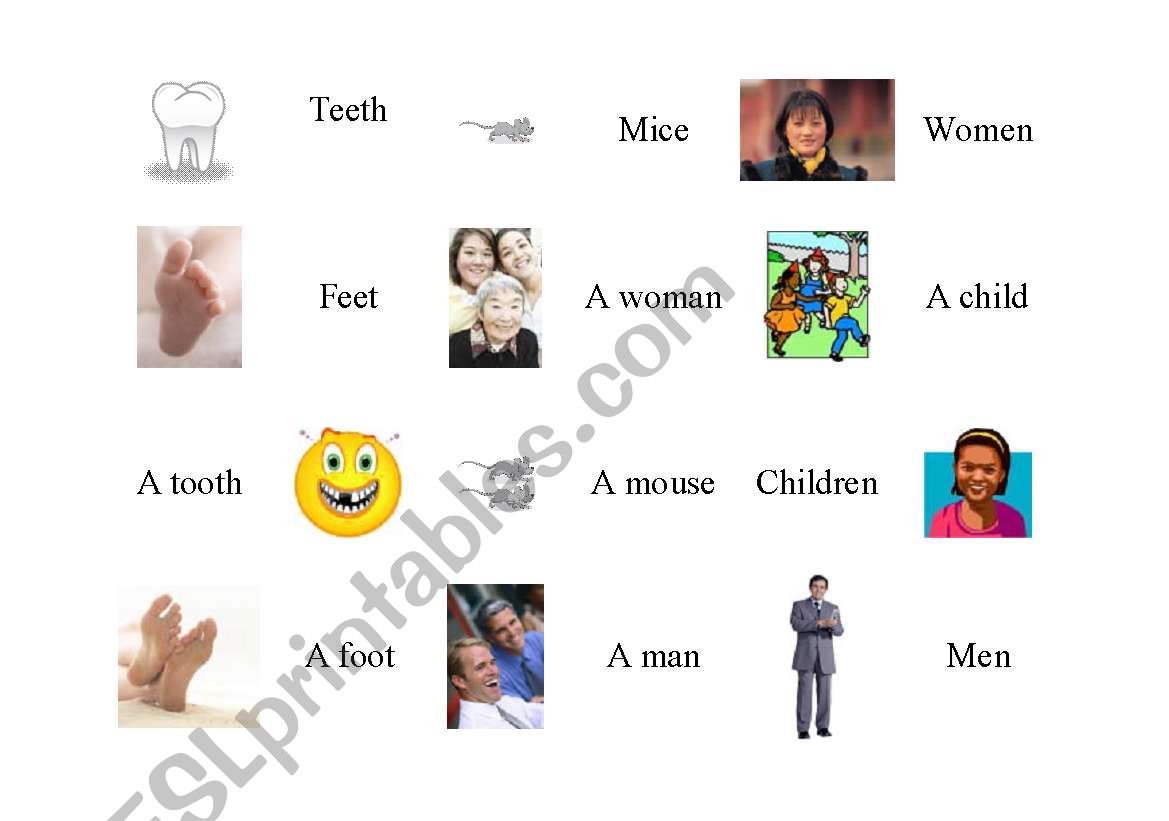 Irregular Noun Plurals Match up 