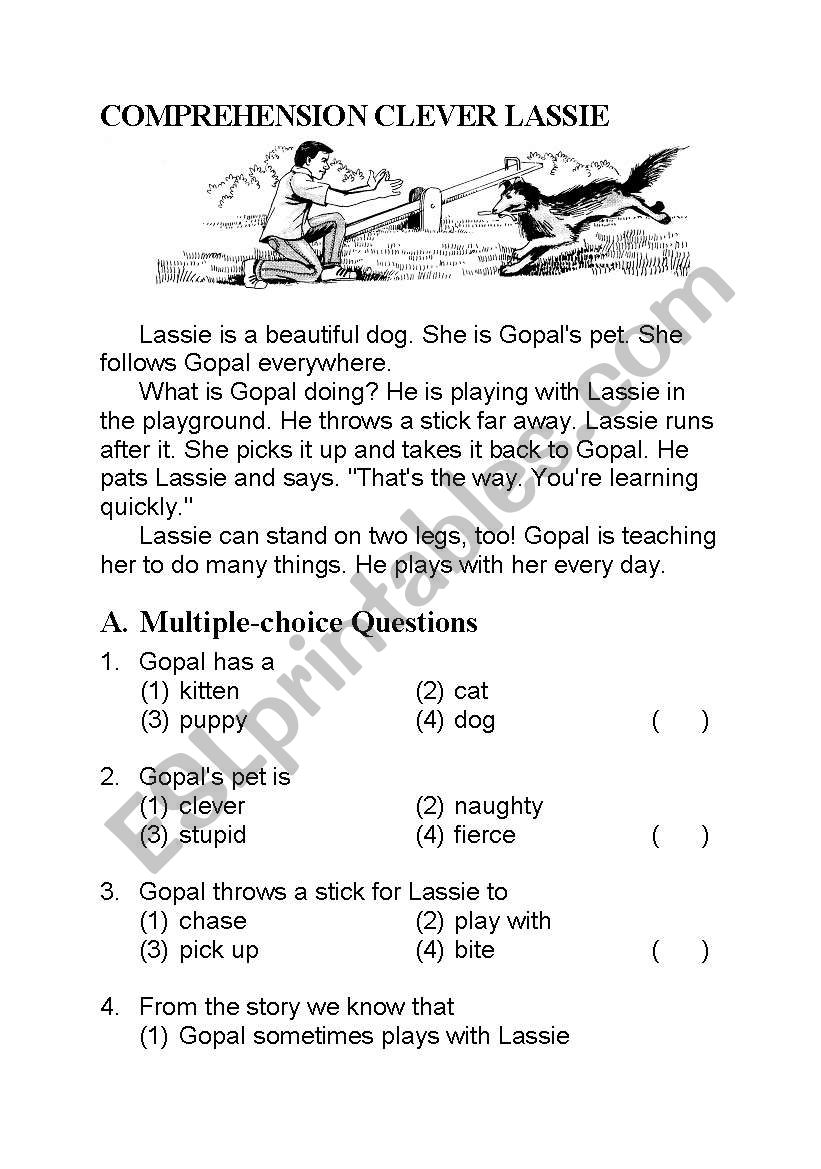 lessie worksheet