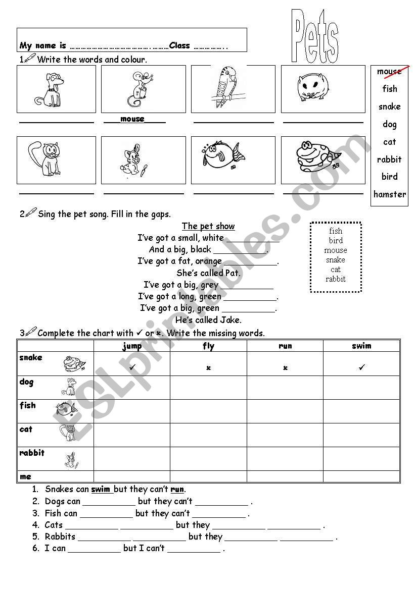 Pets worksheet