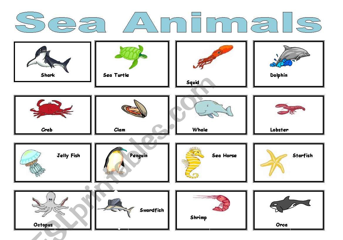 sea animals worksheet