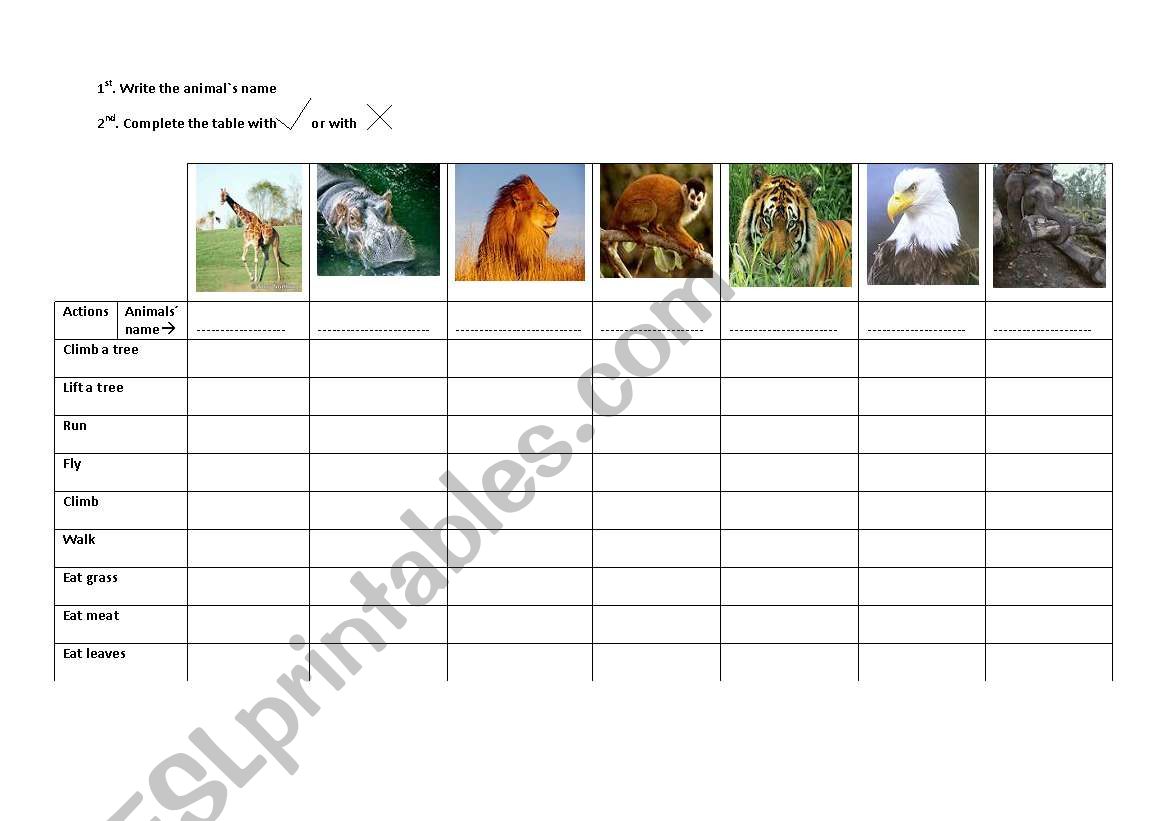 Jungle animals worksheet