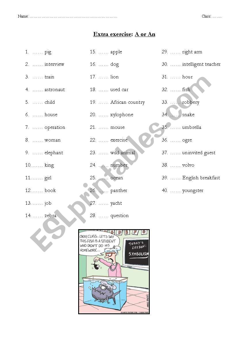 exercise on the indefinite article