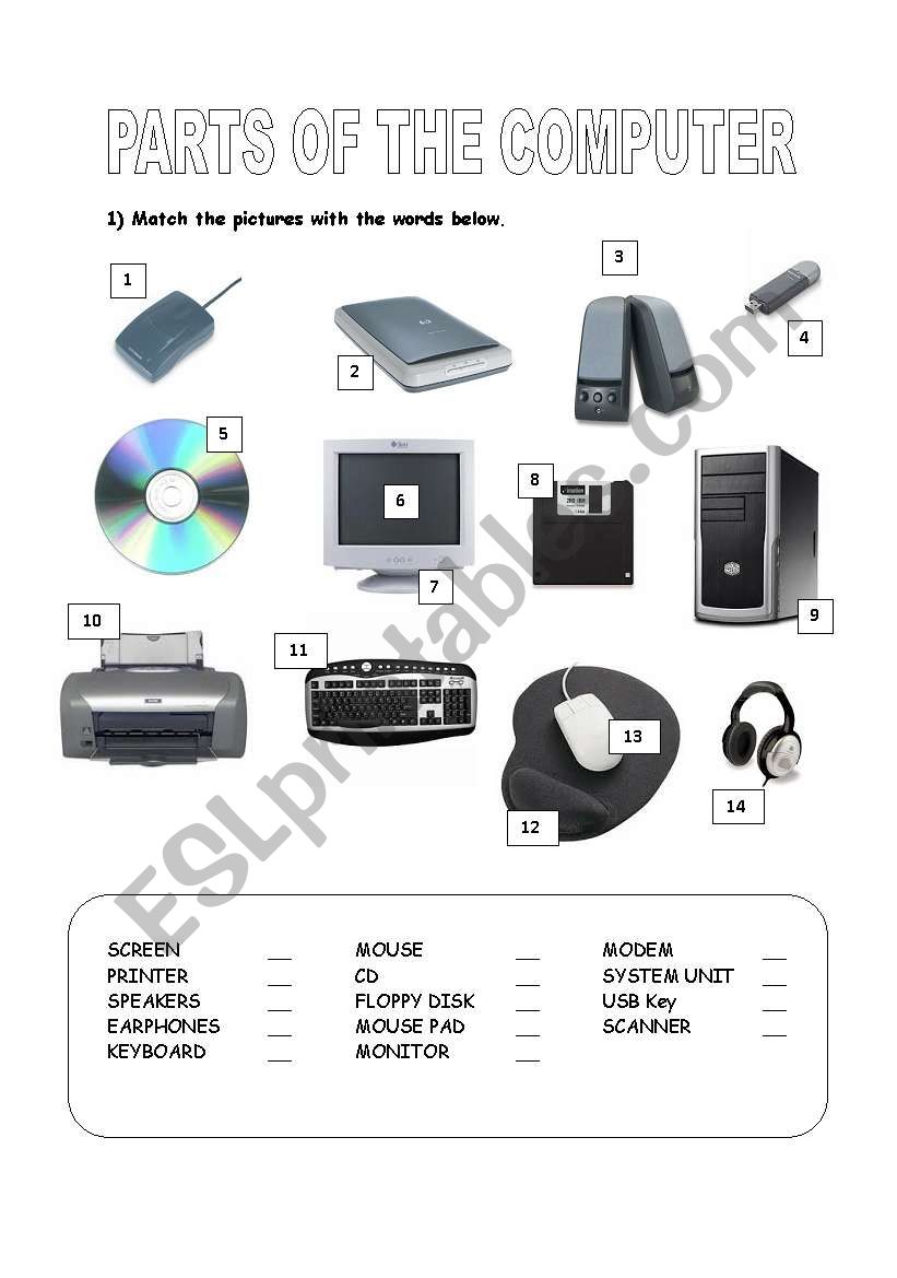 Parts of the computer worksheet