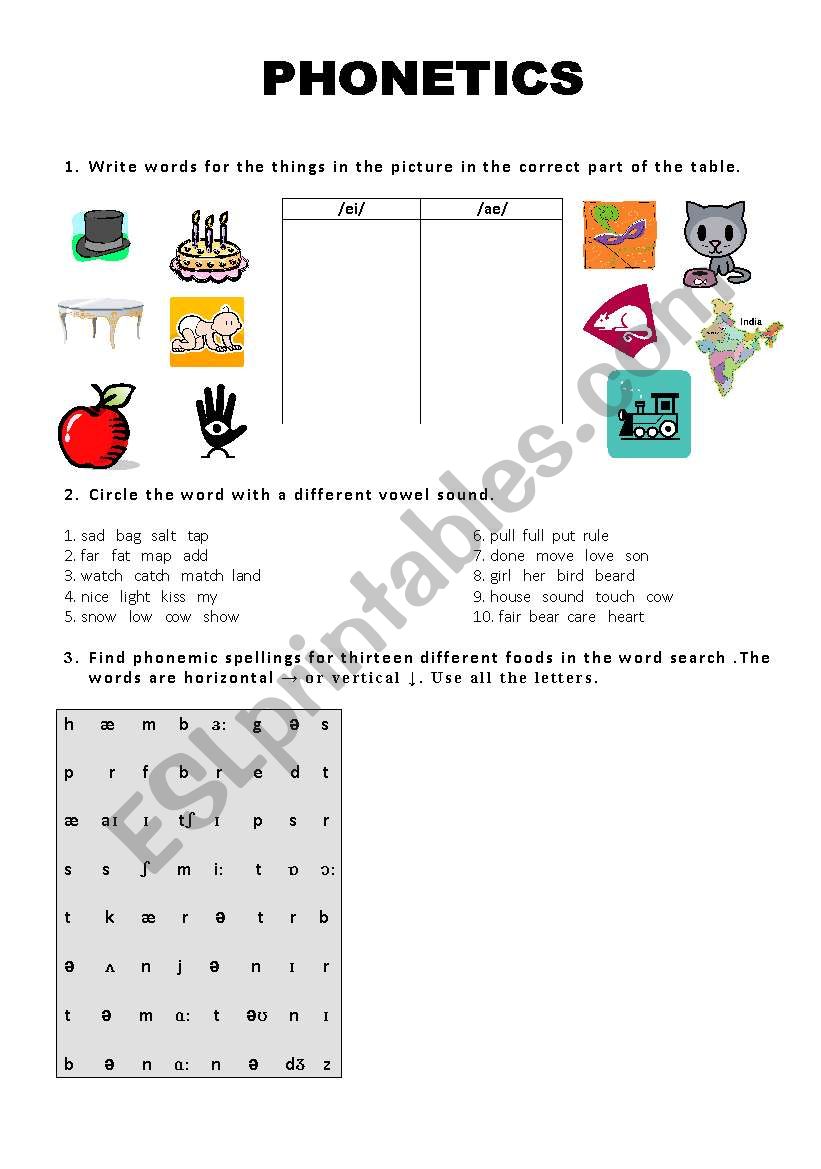 general revision worksheet