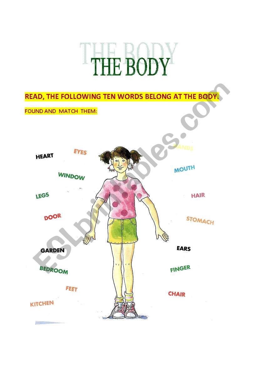 the body worksheet