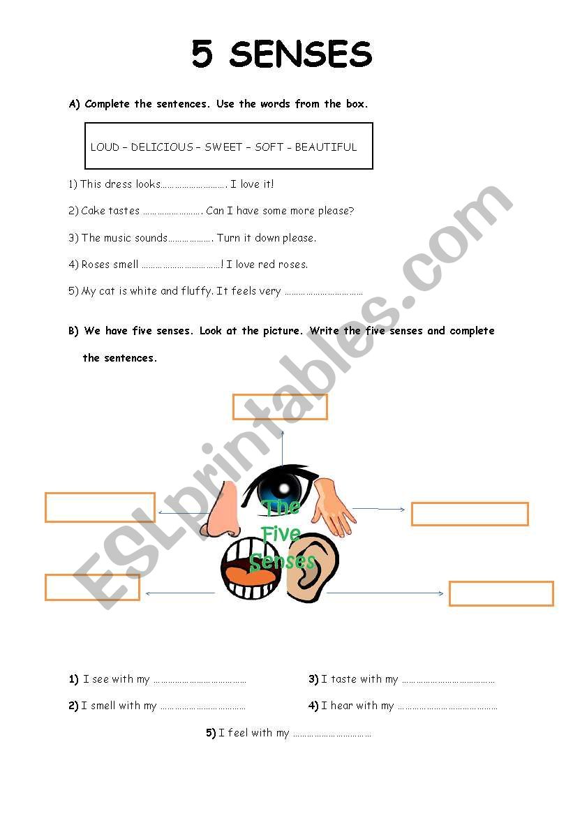 FVE SENSES worksheet