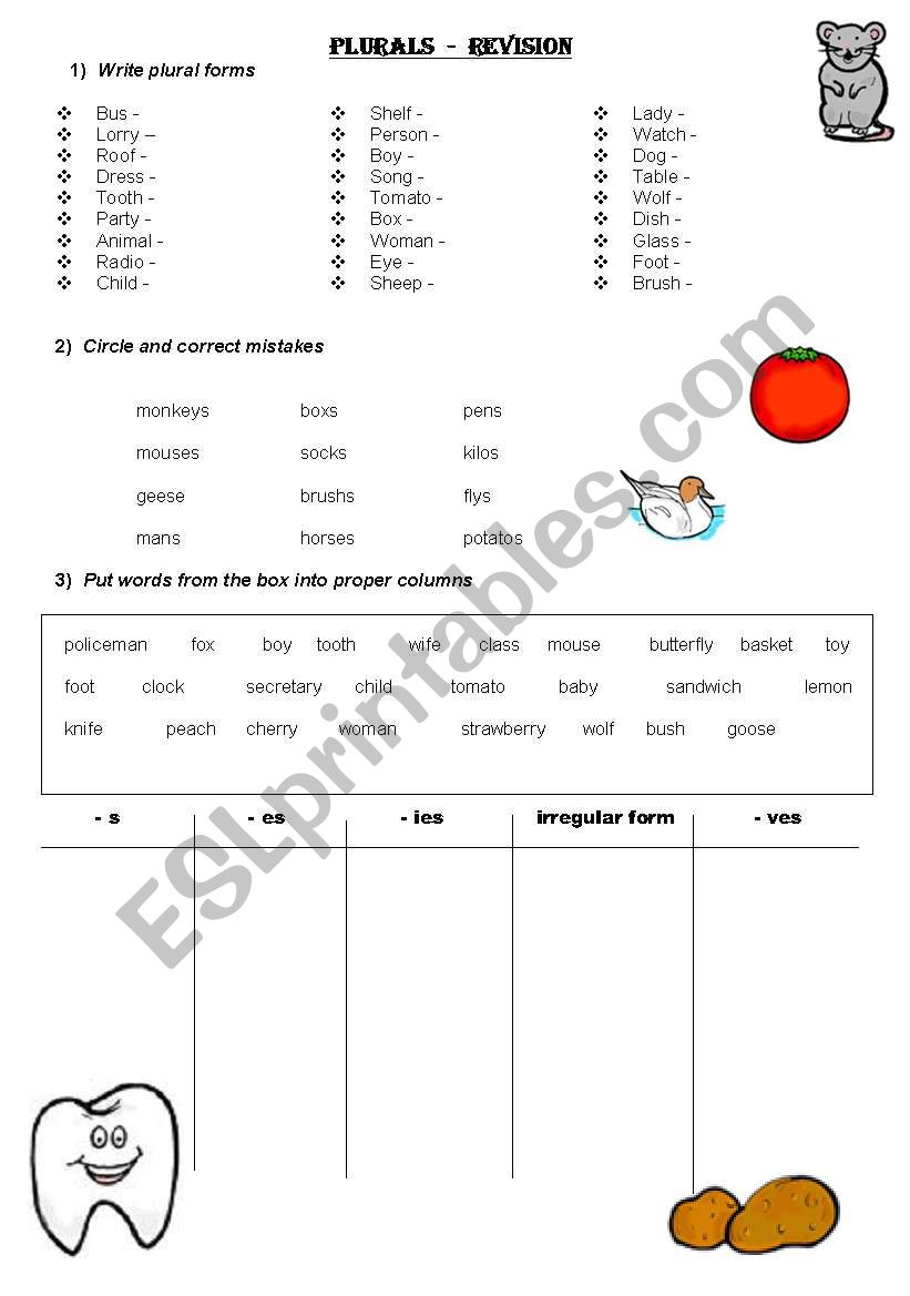 Plurals - revision worksheet