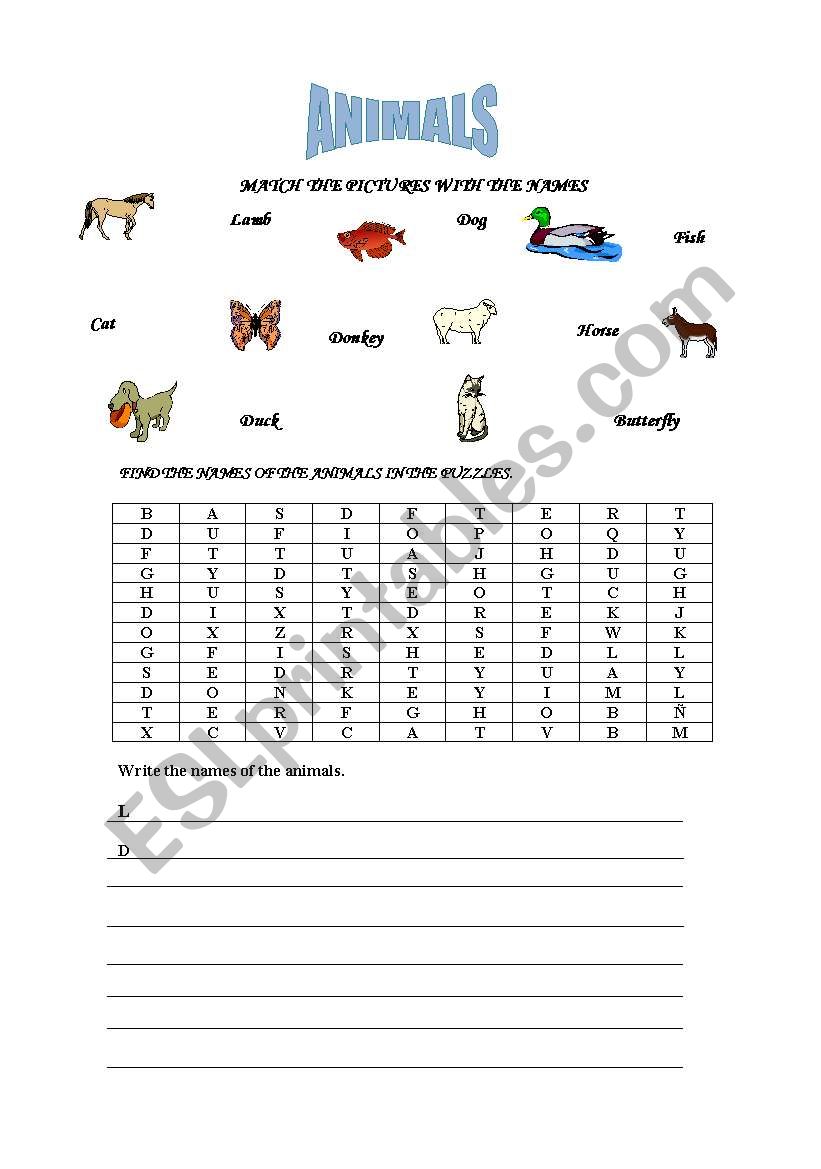 ANIMALS worksheet