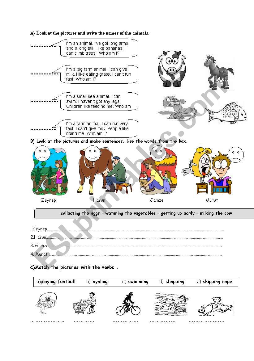 quiz worksheet