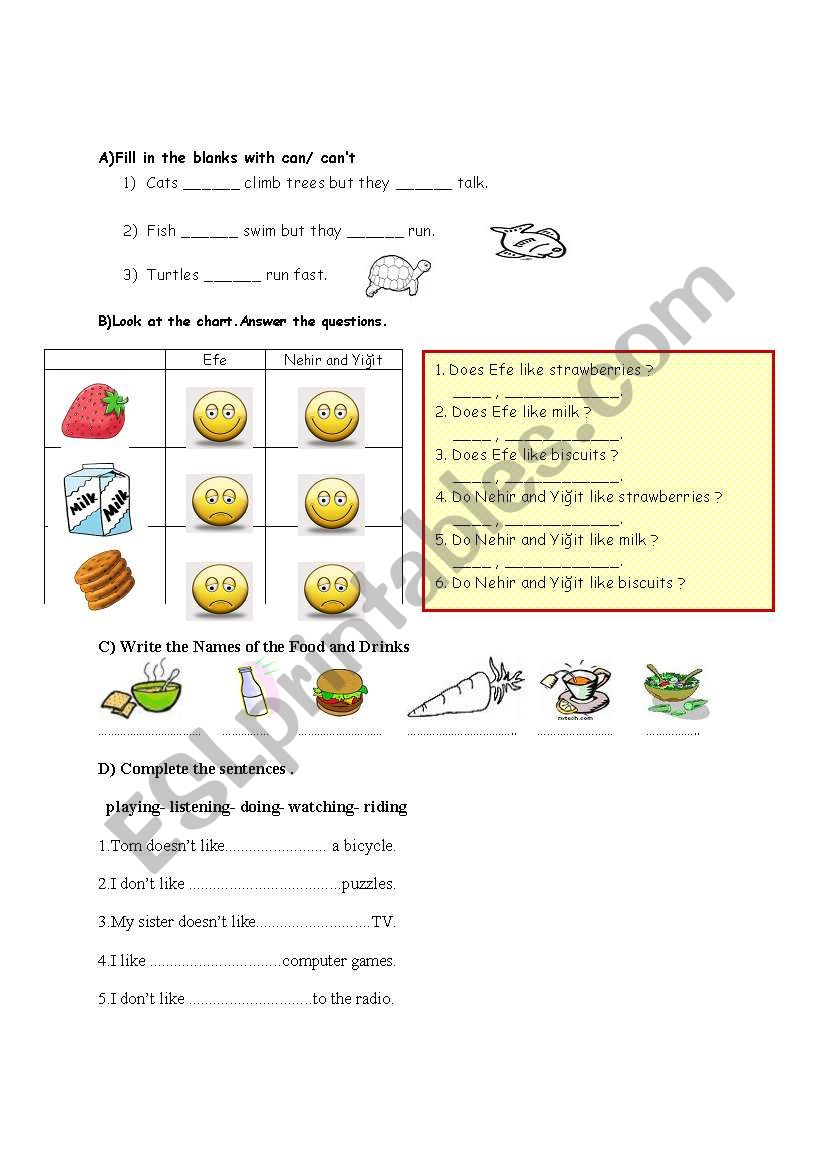 mini exam worksheet