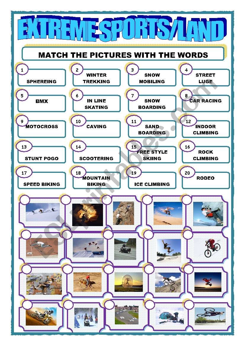 EXTREME SPORTS/LAND/MATCHING worksheet