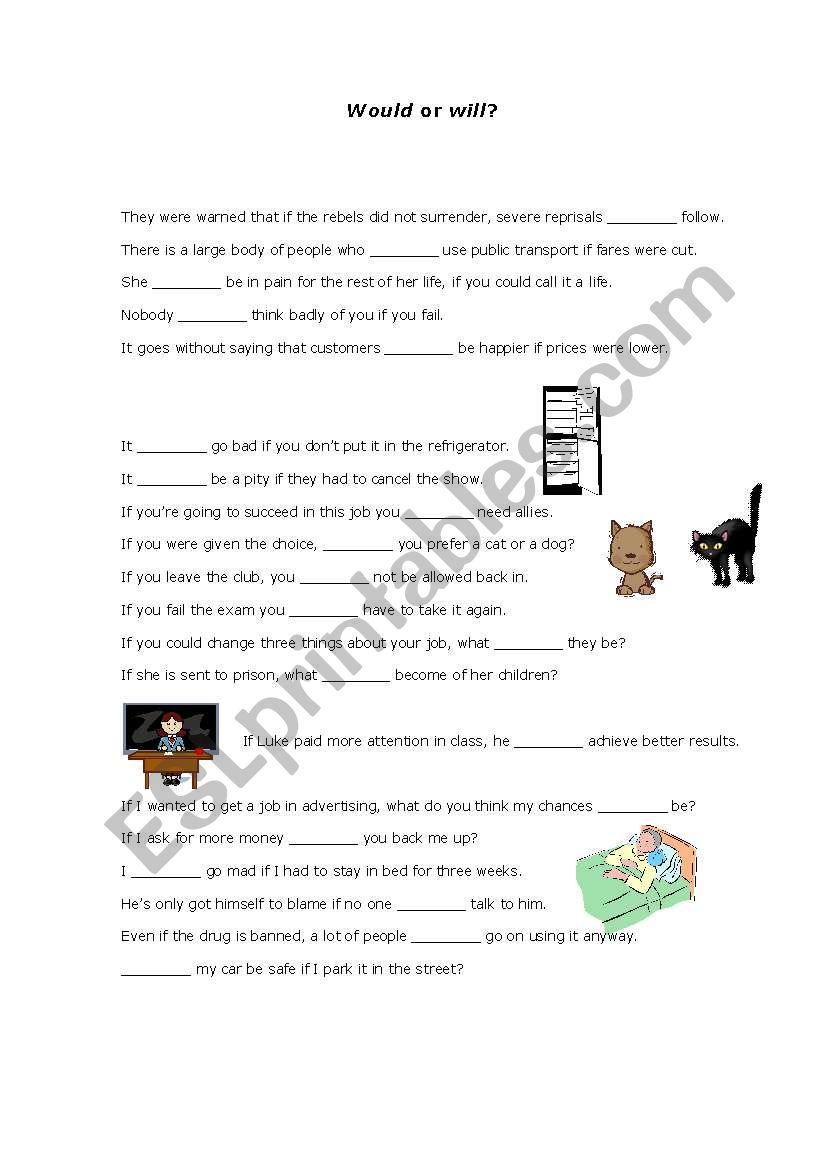 WOULD or WILL? worksheet