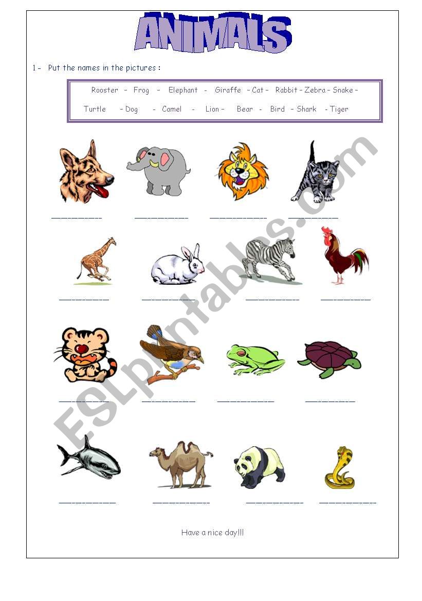 Animals worksheet