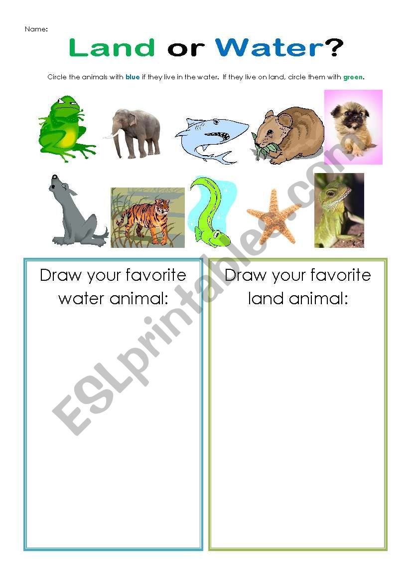Land or Water? worksheet