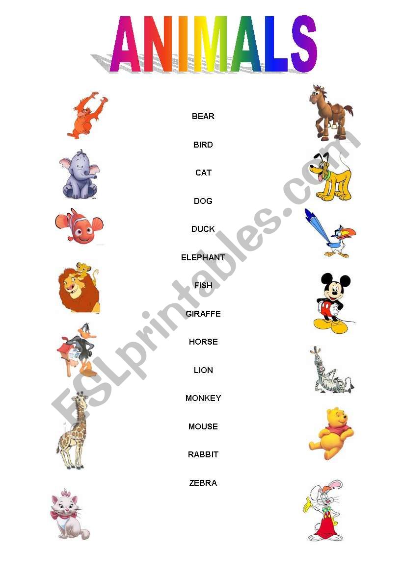 Animals worksheet