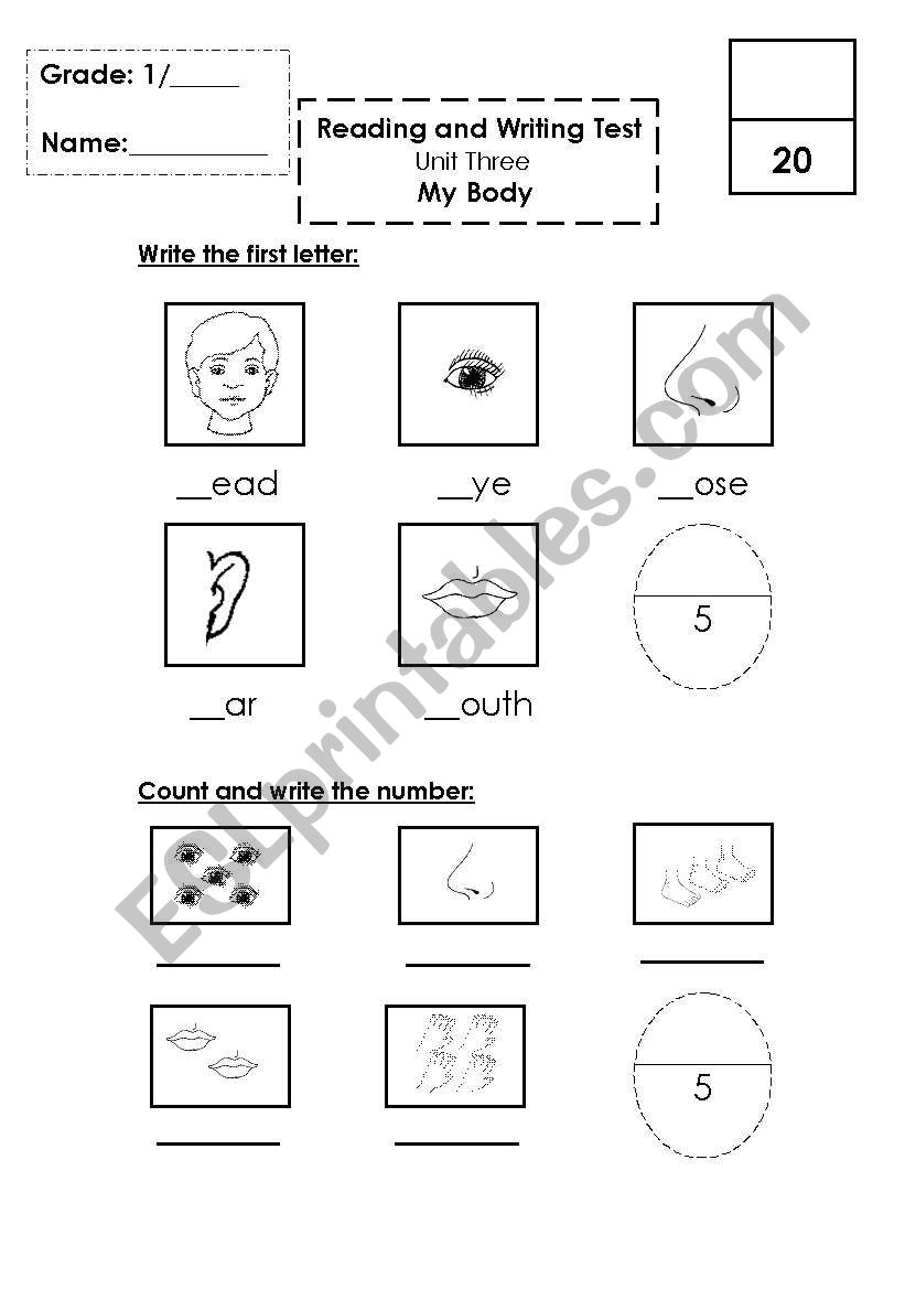 Body test worksheet