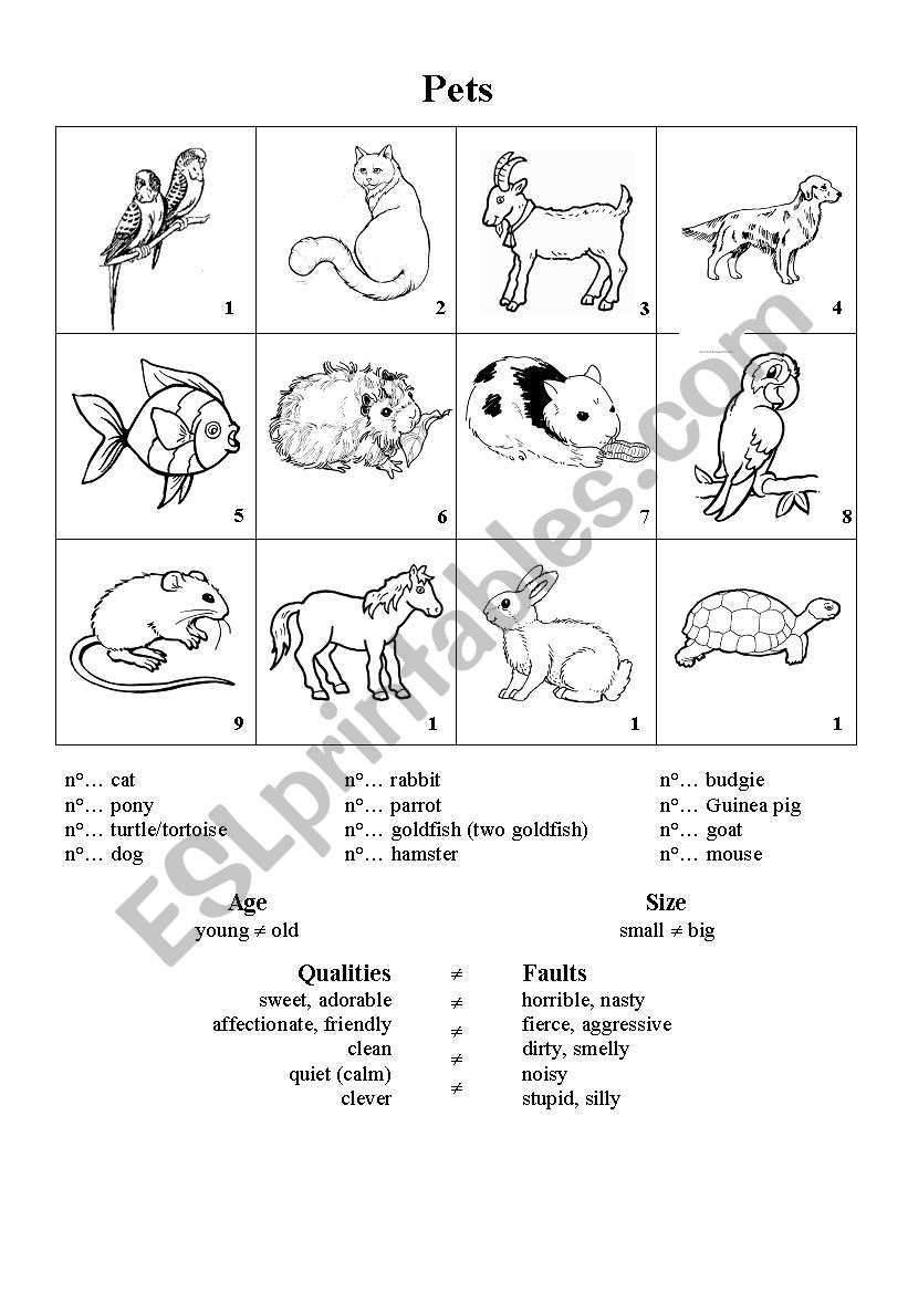 Pets worksheet