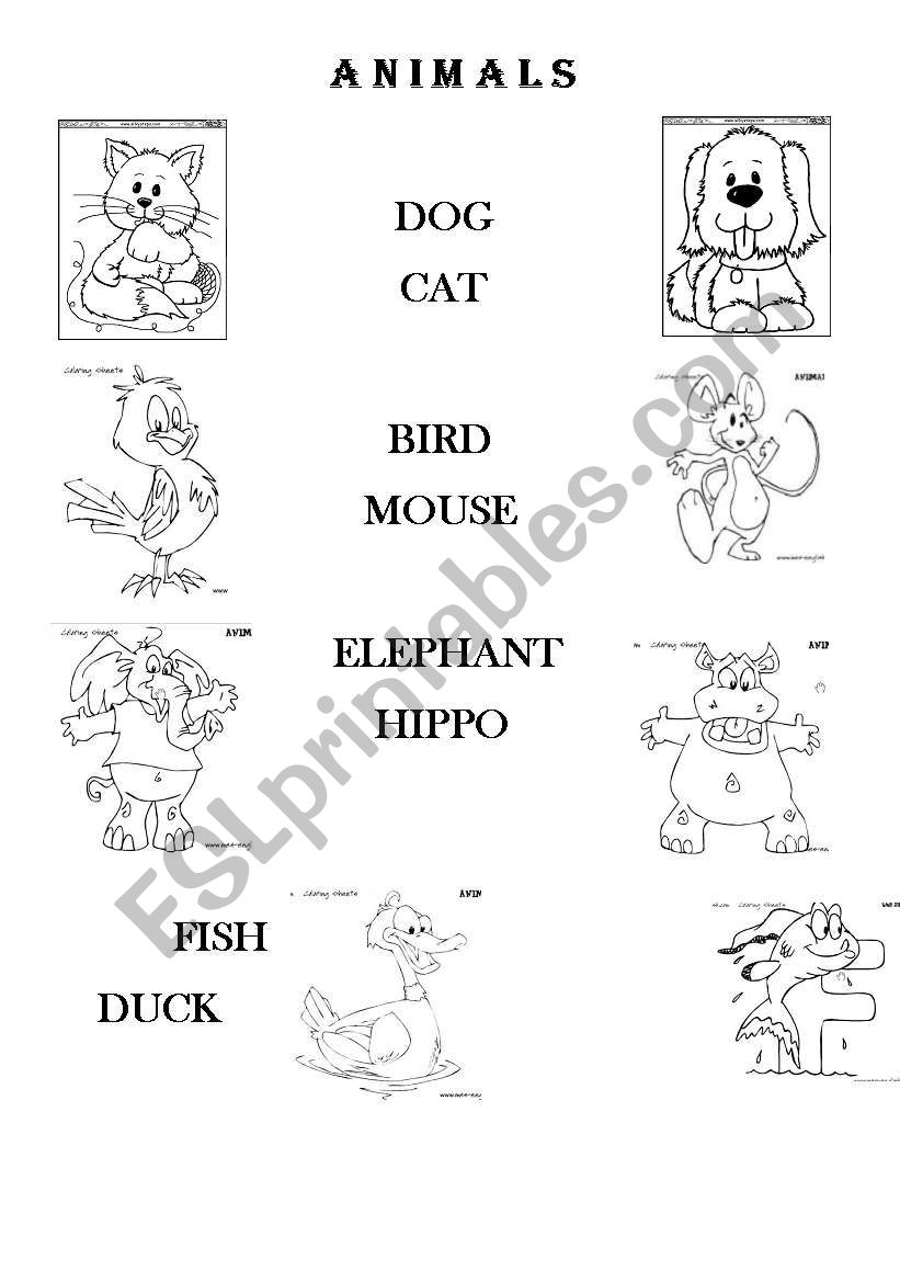 Animals worksheet