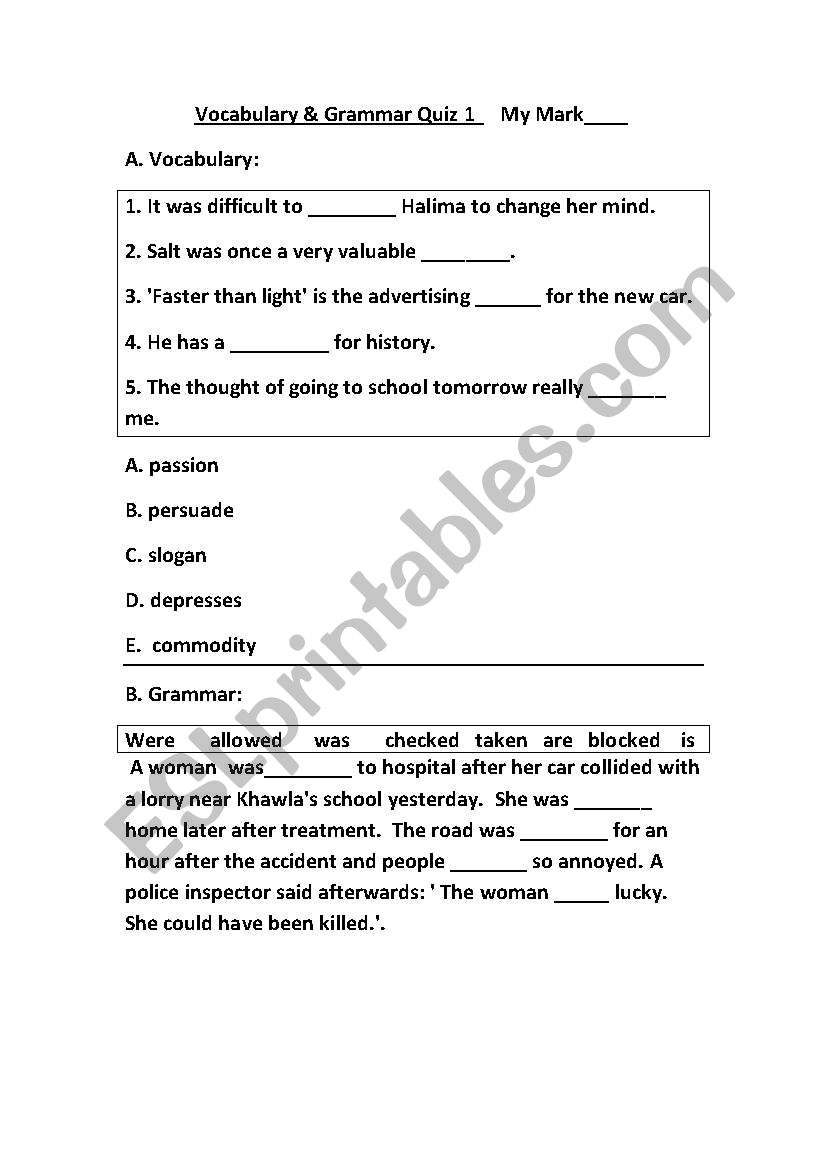 Vocabulary and grammar worksheet