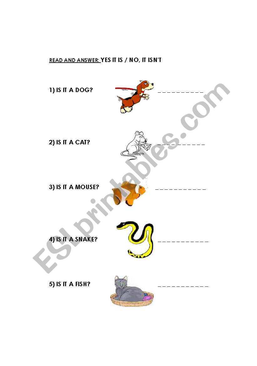 Domestic Animals worksheet