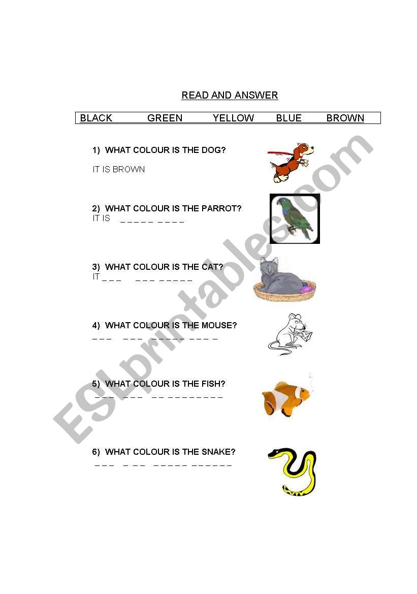 Read and Answer worksheet