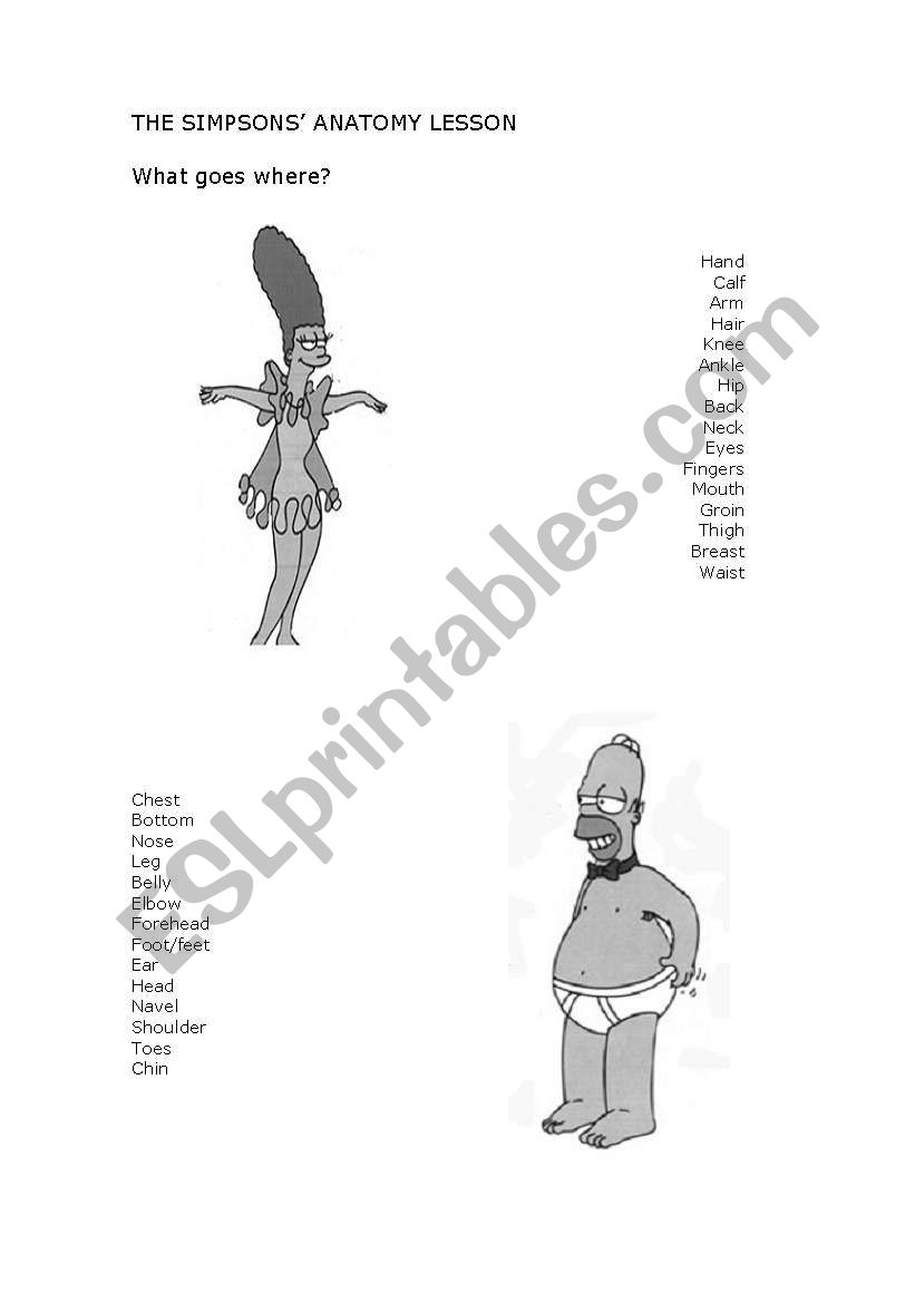 The Simpsons Anatomy Lesson worksheet