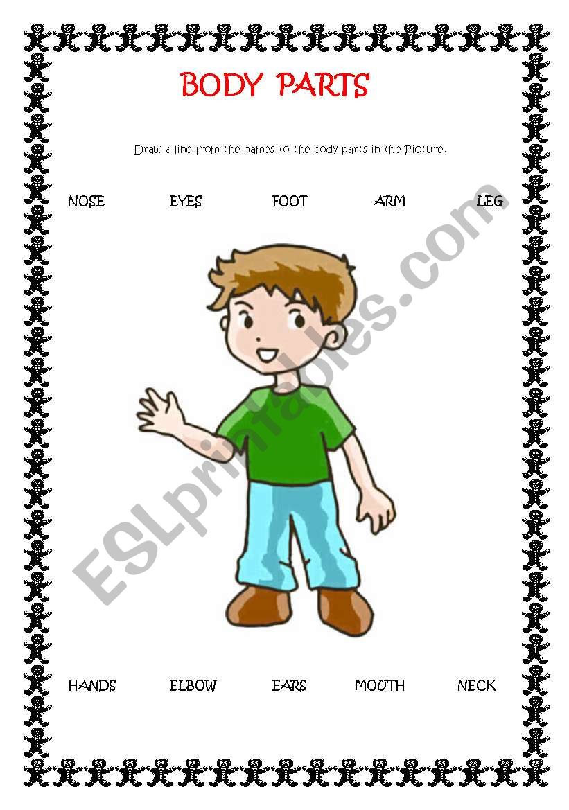 BODY PARTS worksheet