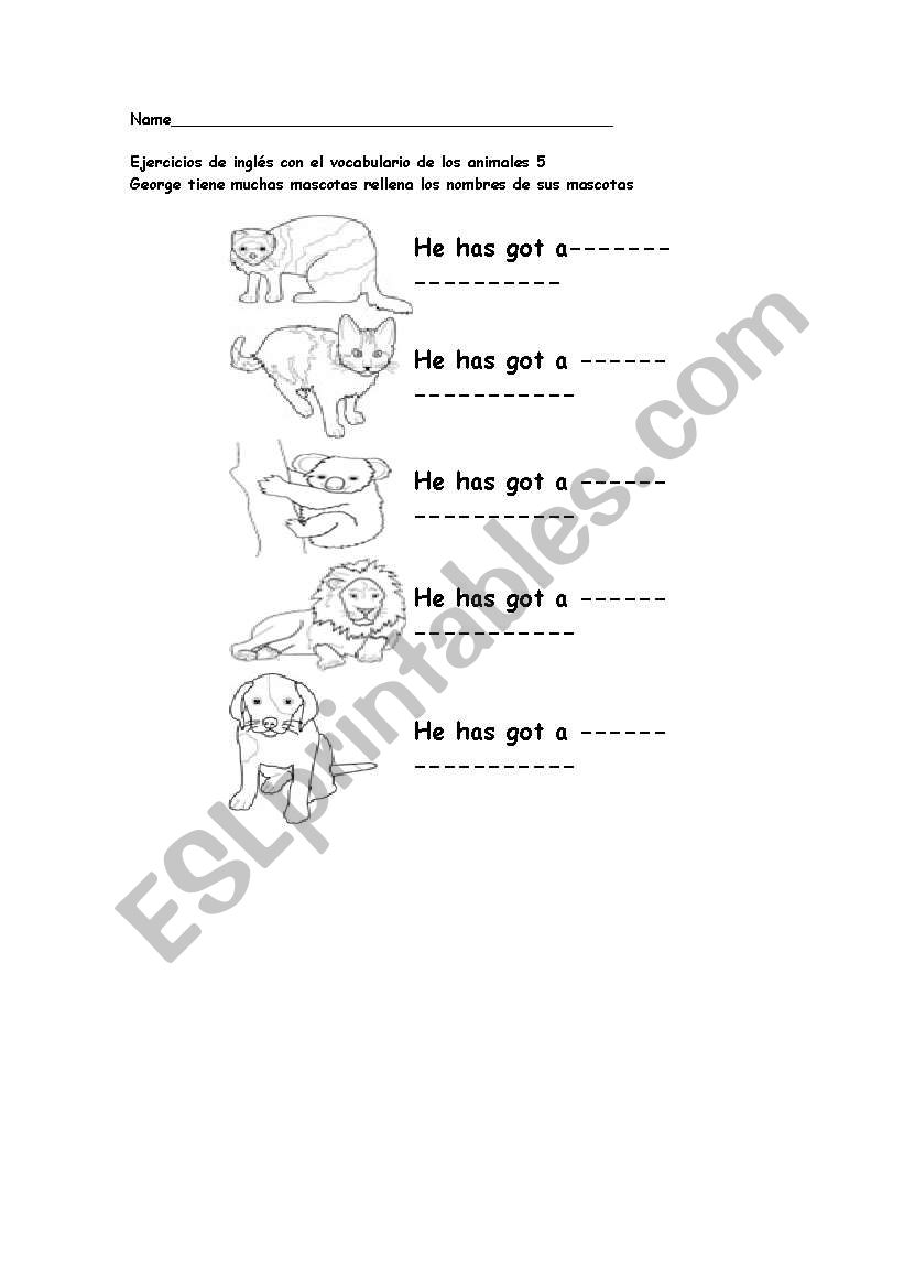 animals worksheet