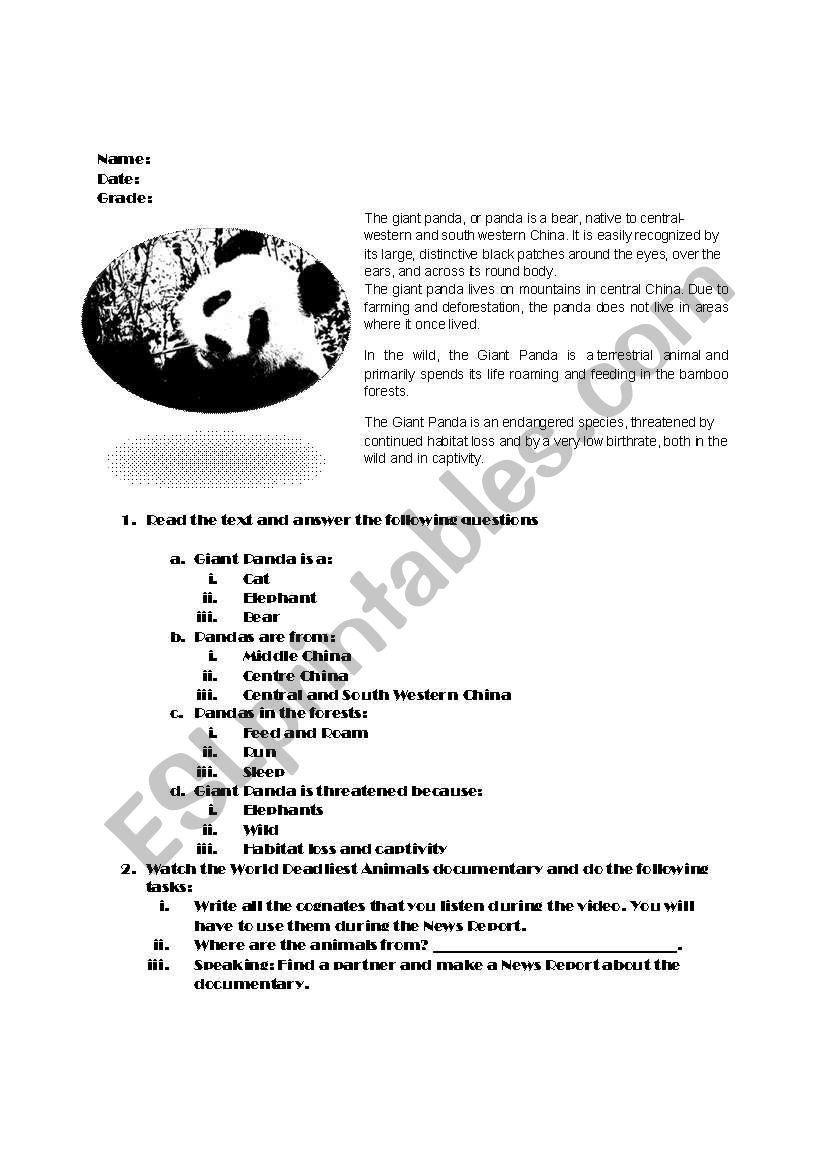 Making a News Report worksheet