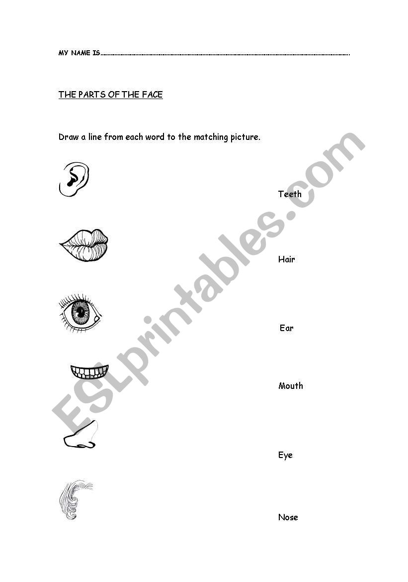 face worksheet