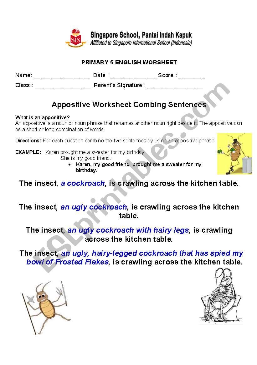 english-worksheets-appositive-practice