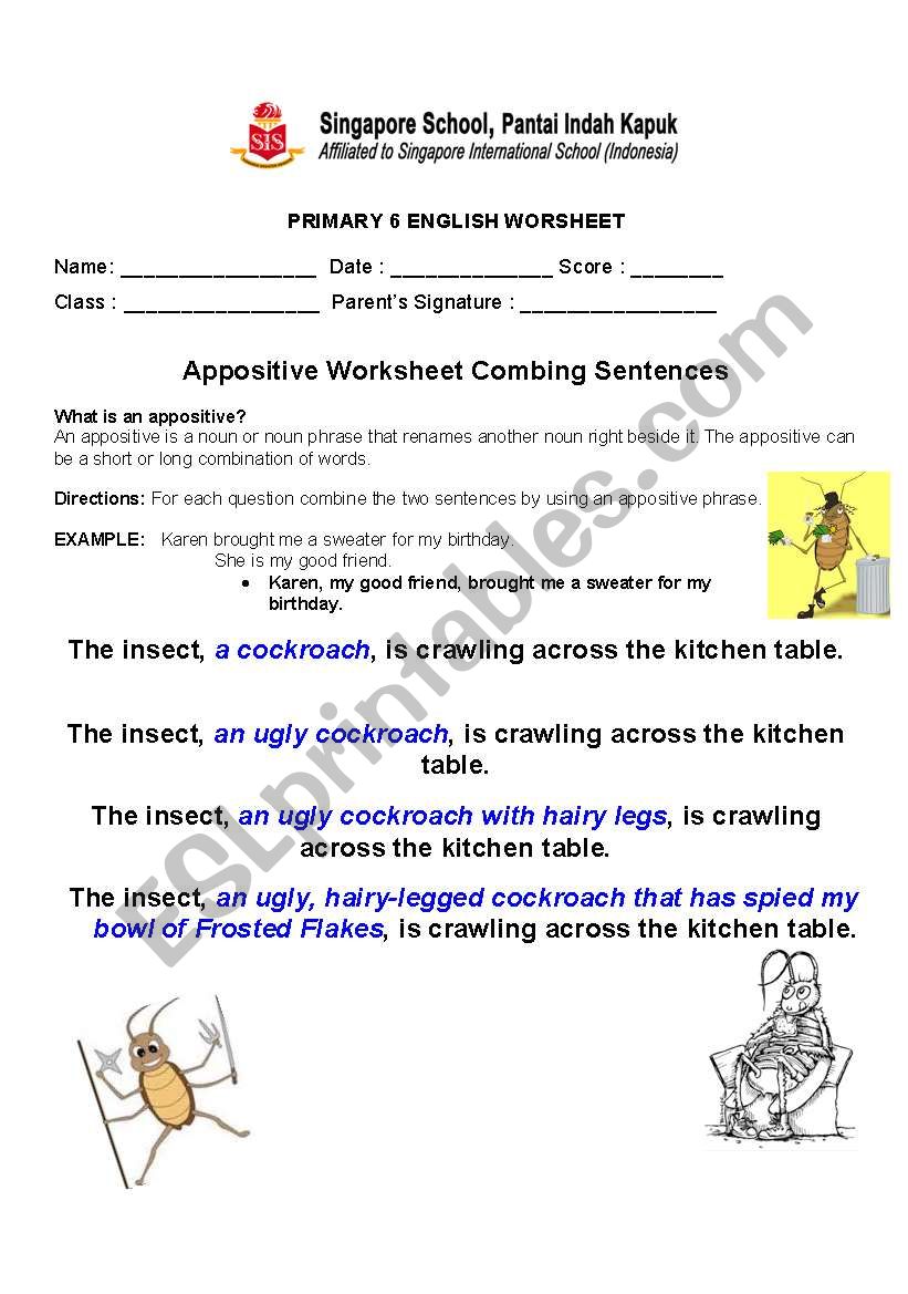 Appositive Practice worksheet