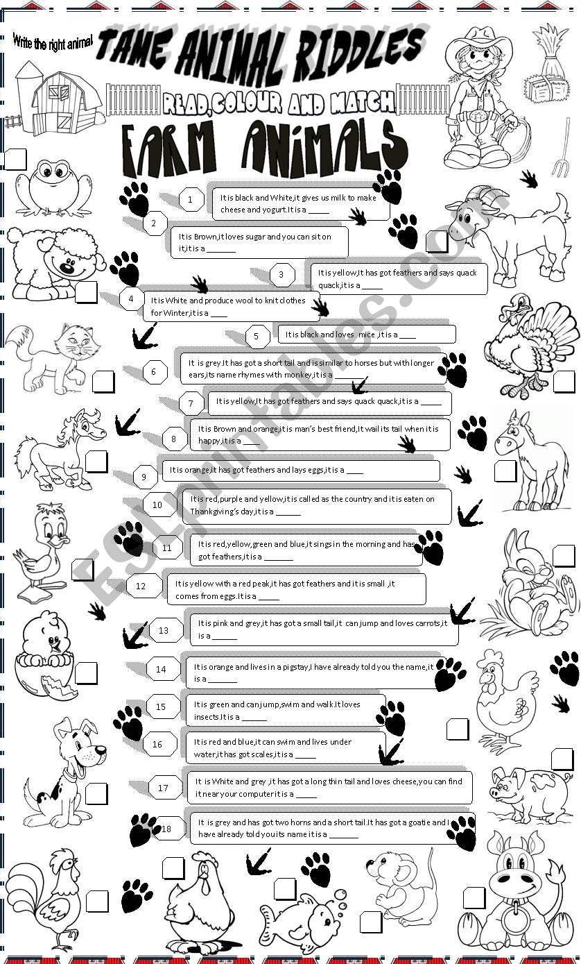 tame animal riddles worksheet