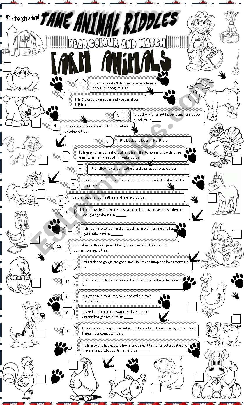 tame animal riddles worksheet