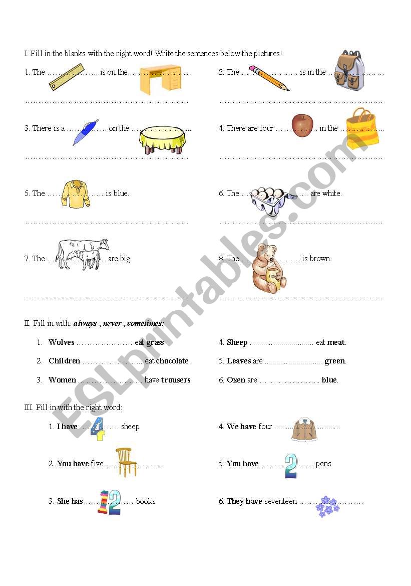 revision exercises worksheet