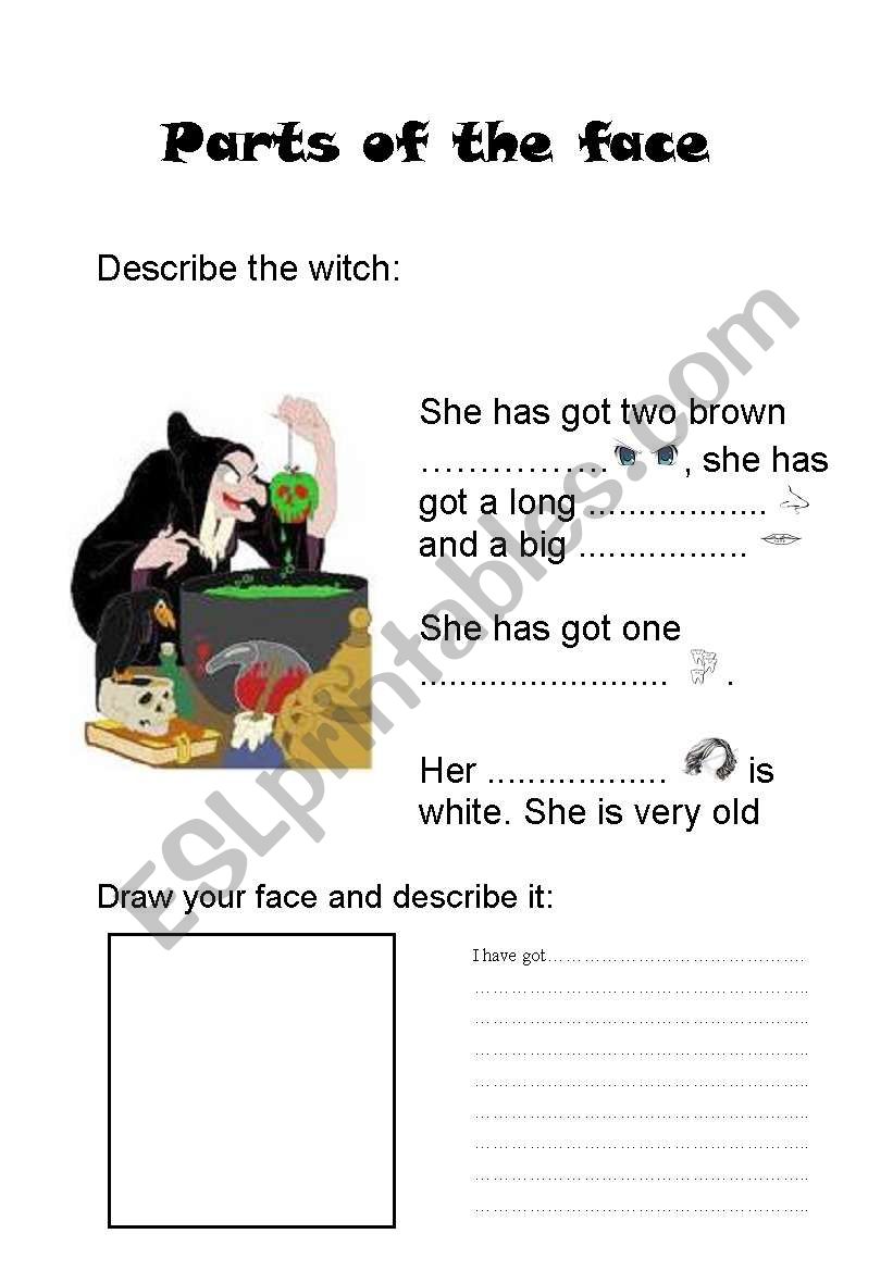 Parts of the face worksheet