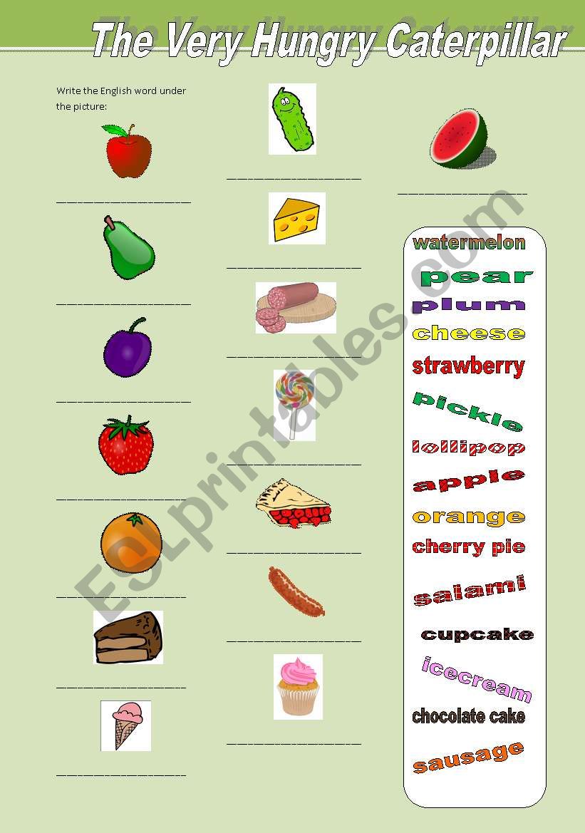 Vocabulary related to The Very Hungry Caterpillar