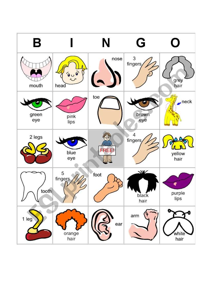 bingo body parts worksheet