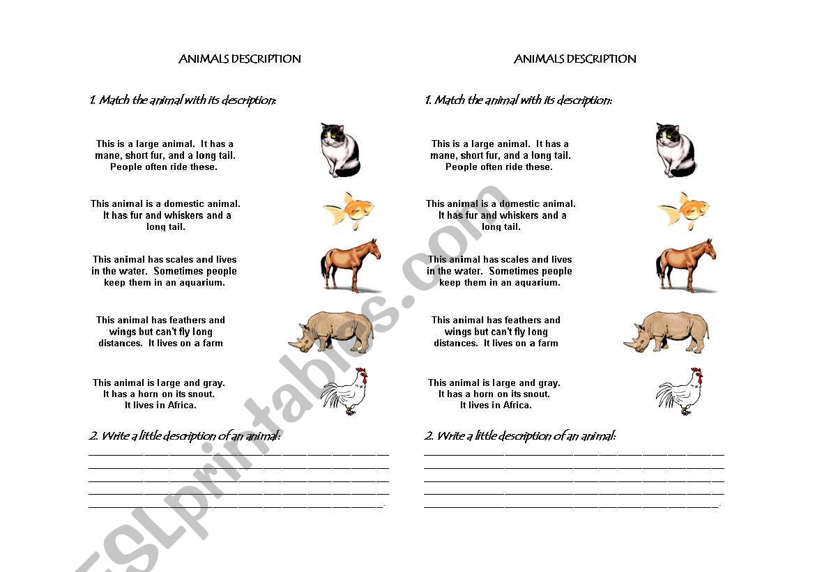 Animal description worksheet