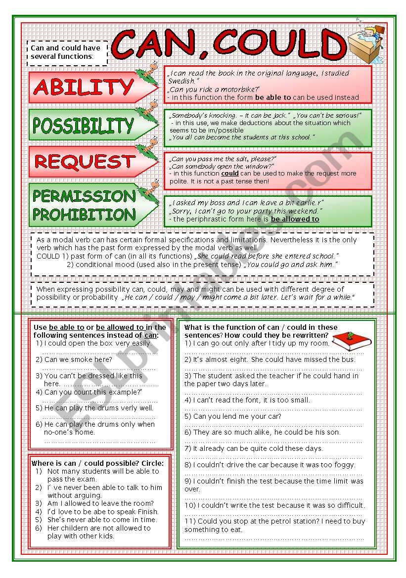 Can, Could - Functions worksheet