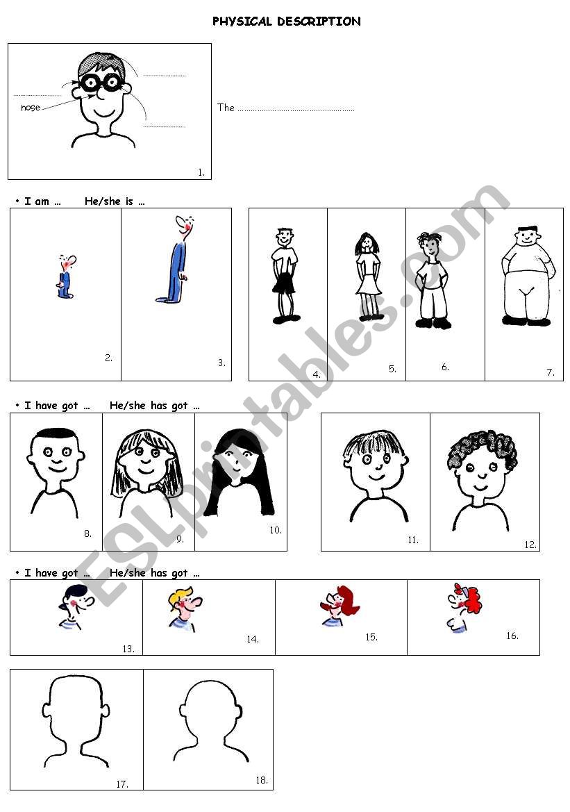 Physical description worksheet